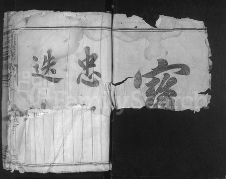 4453.椒石邵氏宗谱 [5卷](别名：兰江椒石邵氏宗谱).pdf电子版