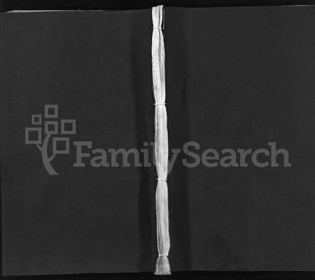 4511.汪氏宗谱 [10卷,首末各2卷](别名：汪氏重修族谱、Wang Shi Zong Pu).pdf电子版