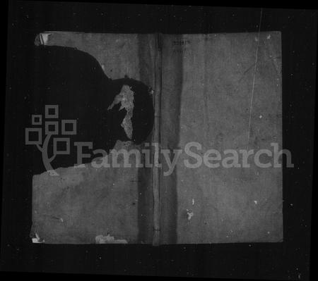 4520.王氏通谱 [106卷,首2卷].pdf电子版