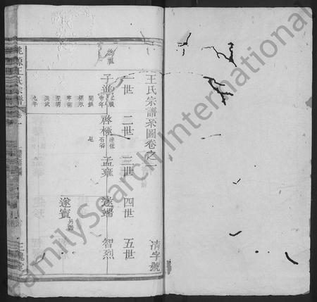 4522.桃源王氏宗谱 [60卷](别名：王氏宗谱、桃源王氏五修宗谱).pdf电子版