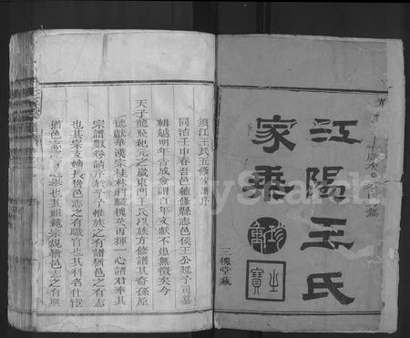 4551.王氏宗谱 [30卷](别名：江阳王氏家乘、Wang Shi Zhongpu).pdf电子版