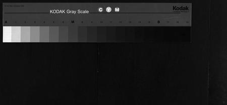 11044.赵氏族谱 [不分卷](别名：景芝赵氏族谱、Zhao Shi Zu Pu、赵氏族谱).pdf电子版