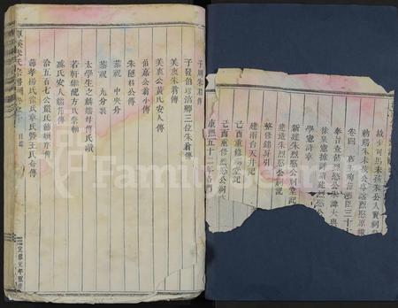 4901.潭溪朱氏宗谱[21卷].pdf电子版插图