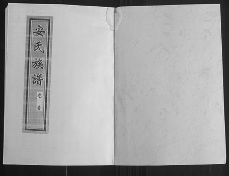山东安氏-安氏族谱[5卷](别名：An Shi Zu Pu).pdf电子版插图1