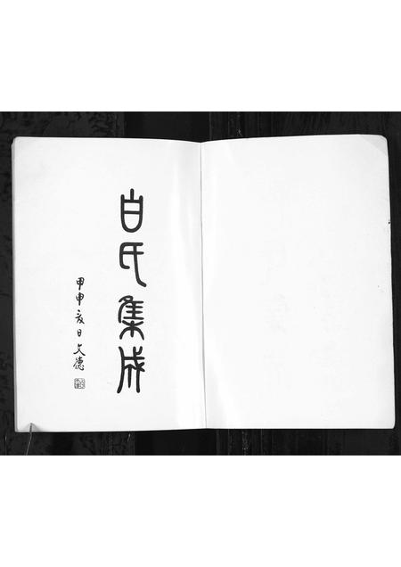 山东白氏-白氏集成(上集)[4编](别名：Bai Shi Ji Cheng(Shang Ji)).pdf电子版插图1