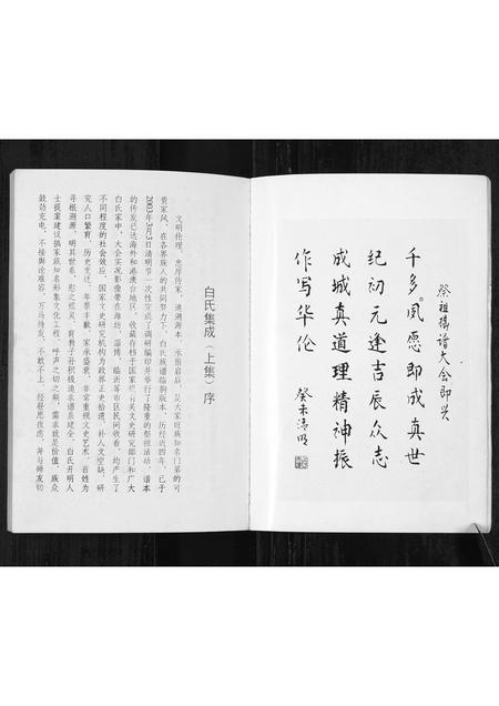 山东白氏-白氏集成(上集)[4编](别名：Bai Shi Ji Cheng(Shang Ji)).pdf电子版插图5