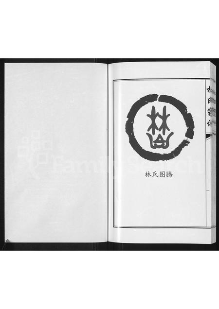 3782.林氏家谱 ： 靖西县荣劳街双桂堂(别名：林氏家谱).pdf电子版插图1