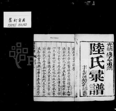 4327.陆氏汇谱(别名：陆氏大宗世谱 ： 宣公裔秀夫后忠烈支).pdf电子版插图1