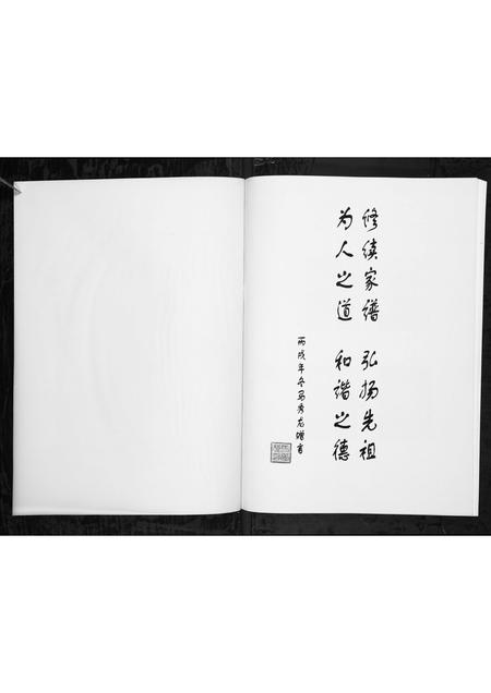 4564.马家寨马姓溯源 [1册](别名：Ma Jia Zhai Ma Xing Su Yuan、马家寨马姓溯源).pdf电子版插图1