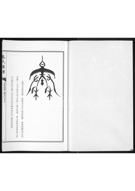 5150.秦氏族谱 ： 高密秦氏老长支秦家岭族谱(别名：秦氏族谱).pdf电子版插图1