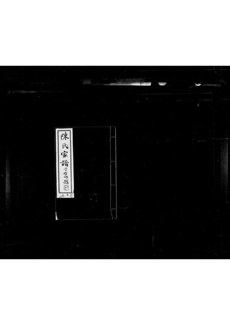 0545.陈氏家谱 ： [2卷].pdf电子版插图1