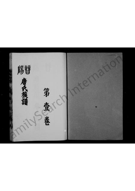 5966.唐氏族谱 [4卷](别名：国裔儒籍堂唐氏谱书、晋阳郡儒籍堂唐氏族谱、晋阳唐氏族谱).pdf电子版插图1