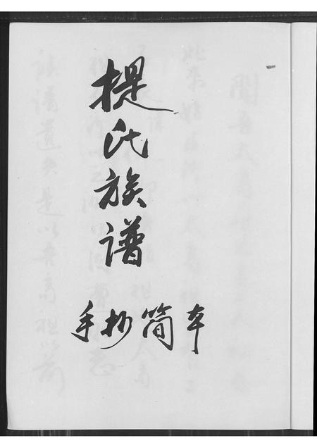 6080.提氏族谱 ： 手抄简本.pdf电子版插图1