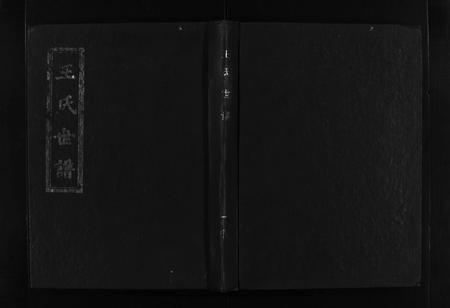 6347.王氏世谱 [不分卷](别名：新城王氏世谱、Wang Shi Shi Pu).pdf电子版插图1