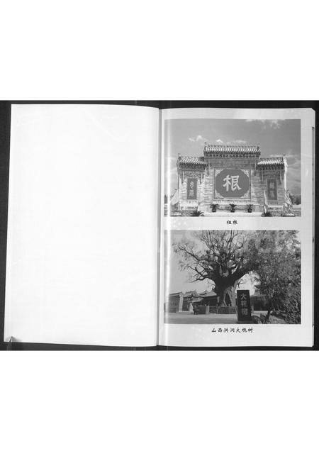 9525.杨氏宗谱 : 入宁中寨子始祖杨国强宗支.pdf电子版插图1 9525.杨氏宗谱 : 入宁中寨子始祖杨国强宗支.pdf电子版插图1