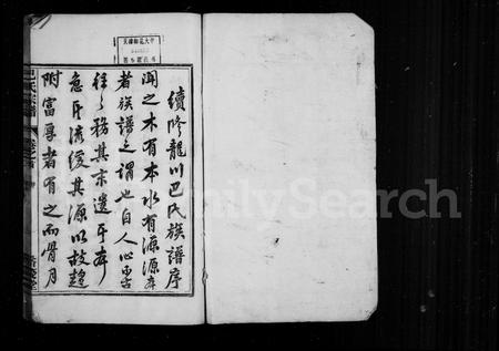 4001.巴氏宗谱 [8卷,首末各1卷](别名：龙川巴氏宗谱).pdf电子版插图1