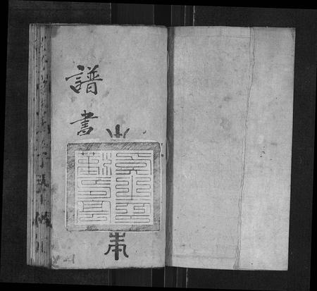 10275.三溪张氏世系志[不分卷](别名：San Xi Zhang Shi Shi Xi Zhi、三溪张氏世系志).pdf电子版插图1