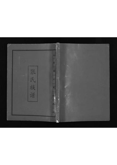 10362.山东淄川黑旺西南张氏族谱 [不分卷](别名：新续张氏族谱、Shan Dong Zi Chuan Hei Wang Xi Nan Zhang Shi Zu Pu、山东淄川黑旺西南张氏族谱).pdf电子版插图1