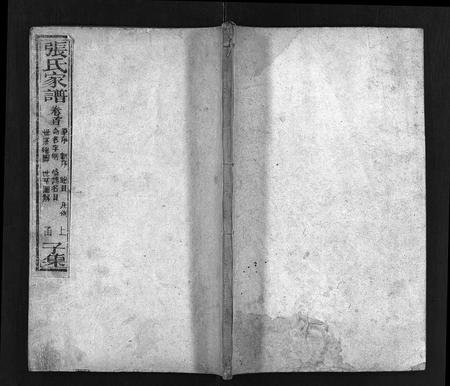 10377.张氏家谱 [上函11卷,含卷首,下函12卷](别名：张氏谱书、泰安张氏家谱、Zhang Shi Jia Pu、张氏家谱).pdf电子版插图1