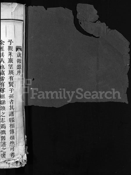 4210.胡氏宗谱 [8卷](别名：胡氏续修宗谱、永康胡氏宗谱、Hu Shi Zong Pu).pdf电子版插图1