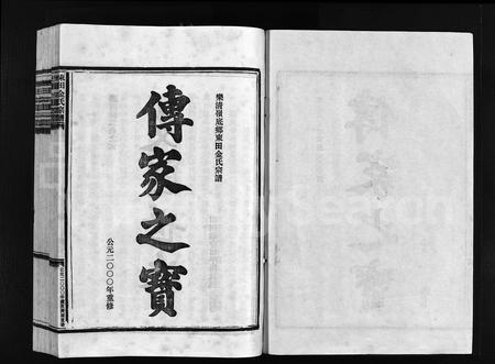 4286.东田金氏宗谱 [不分卷](别名：乐清岭底乡东田金氏宗谱、Dong Tian Jin Shi Zu Pu).pdf电子版插图1