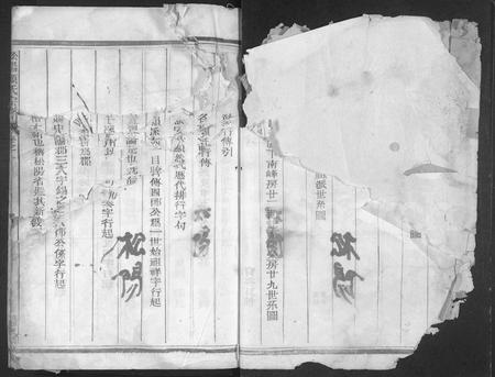 4299.松阳赖氏宗谱 [11卷].pdf电子版插图1