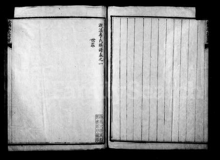 4303.漎溪李氏族谱(别名：法华李氏族谱).pdf电子版插图1