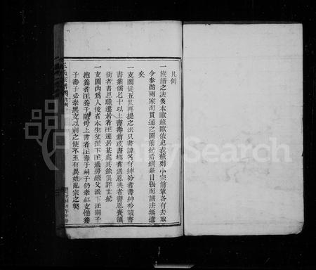 4537.王氏宗谱.pdf电子版插图1