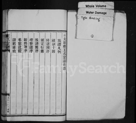 4539.王氏宗谱(别名：太原郡王氏宗谱).pdf电子版插图1