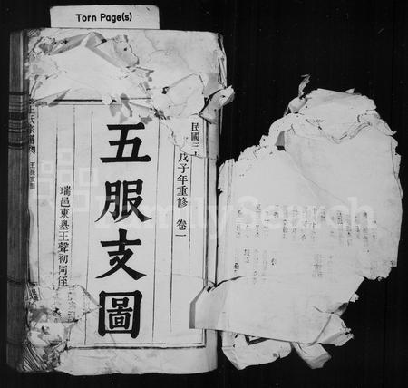 4544.王氏宗谱.pdf电子版插图1 4544.王氏宗谱.pdf电子版插图1