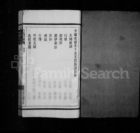 4545.王氏宗谱 [4卷](别名：平阳北港五十丈王氏族谱).pdf电子版插图1