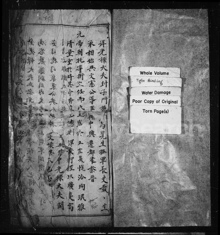 4563.[王氏宗谱].pdf电子版插图1