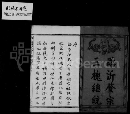 4573.中南王氏宗谱 [12卷,首1卷].pdf电子版插图1