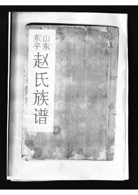 11050.山东东平赵氏族谱 [不分卷](别名：Shan Dong Dong Ping Zhao Shi Zu Pu、山东东平赵氏族谱).pdf电子版插图1