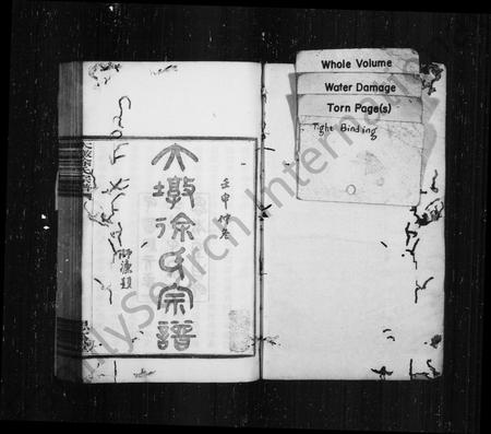 4693.大墩徐氏宗谱 [16卷,首末各1卷].pdf电子版插图1