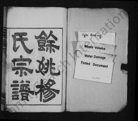 4731.余姚杨氏宗谱 [10卷,首1卷].pdf电子版插图1