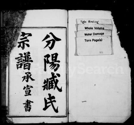 4785.分阳臧氏宗谱 ： [12卷].pdf电子版插图1