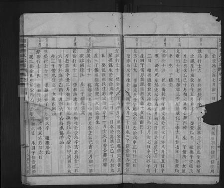 4839.浦阳赵氏宗谱 [残卷](别名：浦阳赵氏宗谱).pdf电子版插图1