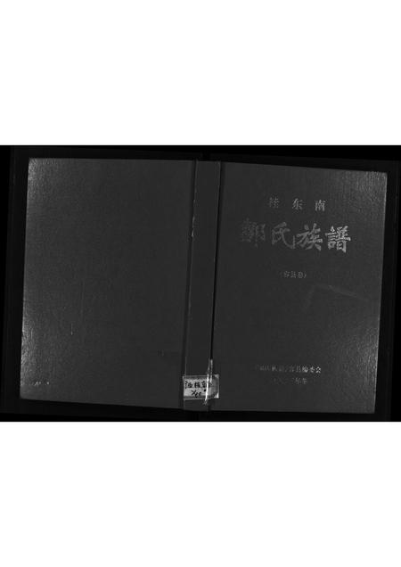 11767.桂东南邹氏族谱(容县卷)(别名：Gui Dong Nan Zou Shi Zu Pu (Rong Xian Juan)、桂东南邹氏族谱(容县卷)).pdf电子版插图1