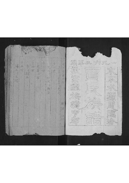 2762.贾氏族谱[卷数不详](别名：Jia Shi Zu Pu、贾氏族谱).pdf电子版插图1