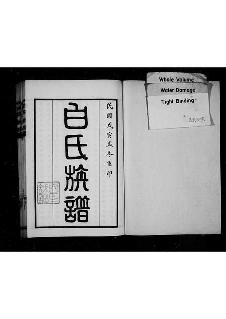 山东白氏-白氏族谱.pdf电子版插图2