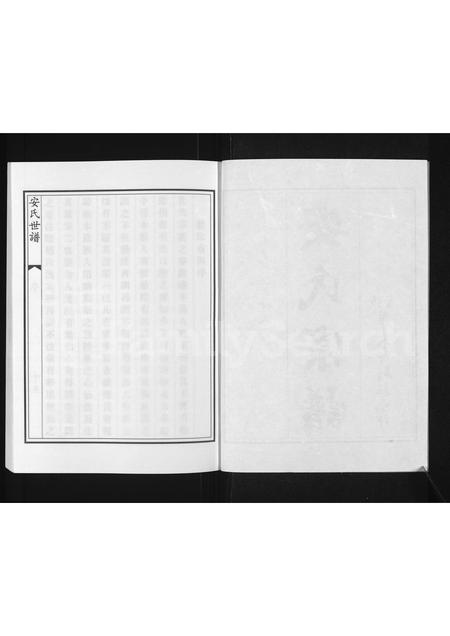 0011.博兴湾头镇安氏宗谱 [残存卷2](别名：安氏宗谱、安氏世谱).pdf电子版插图2