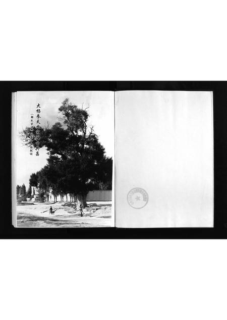 2975.山阴县解家庄解氏宗谱 [不分卷](别名：Shanyin Xian Xiejia Zhuang Xie Shi Zong Pu、解氏宗谱、山阴县解家庄解氏宗谱).pdf电子版插图2