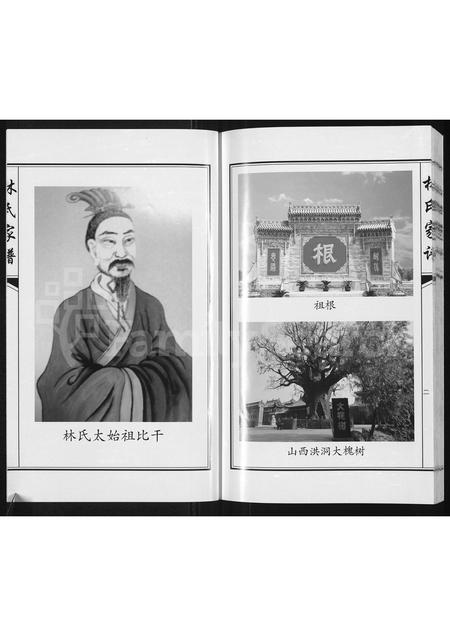 3782.林氏家谱 ： 靖西县荣劳街双桂堂(别名：林氏家谱).pdf电子版插图2