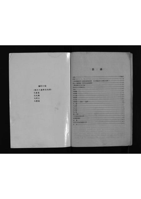 4565.马氏家谱 [不分卷](别名：Ma Shi Jia Pu、马氏家谱).pdf电子版插图2