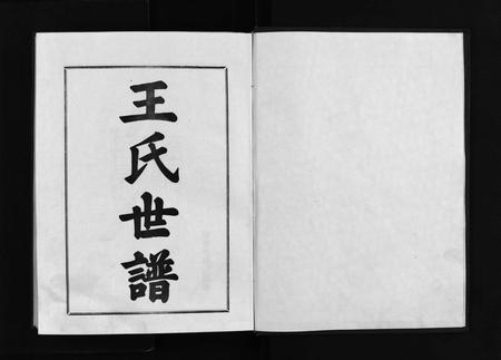 6347.王氏世谱 [不分卷](别名：新城王氏世谱、Wang Shi Shi Pu).pdf电子版插图2
