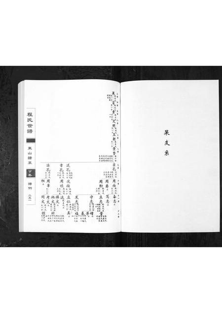 0771.程氏世谱海阳东山谱系[上中下卷](别名：Cheng Shi Shi Pu Hai Yang Dong Shan Pu Xi、程氏世谱东山谱系).pdf电子版插图2