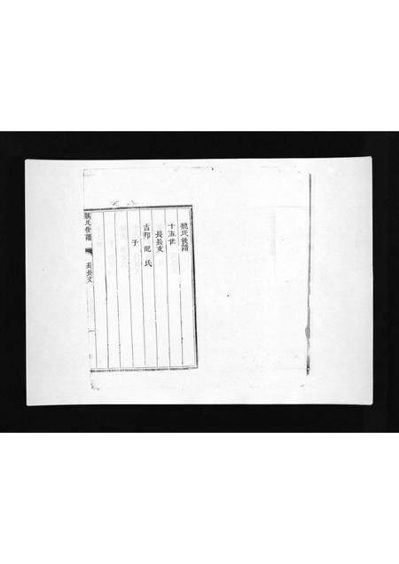 8481.盆泉魏氏族谱 [不分卷](别名：Penquan Wei Shi Zu Pu、魏氏族谱).pdf电子版插图2