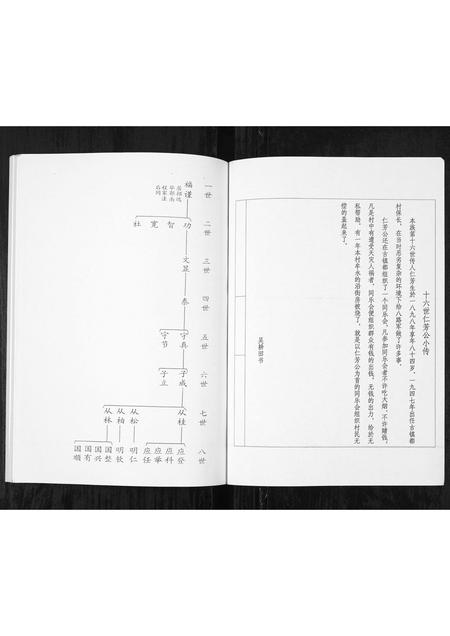 8590.福谨公吴氏族谱 [1册](别名：Fu Jin Gong Wu Shi Zu Pu、福谨公吴氏族谱).pdf电子版插图2