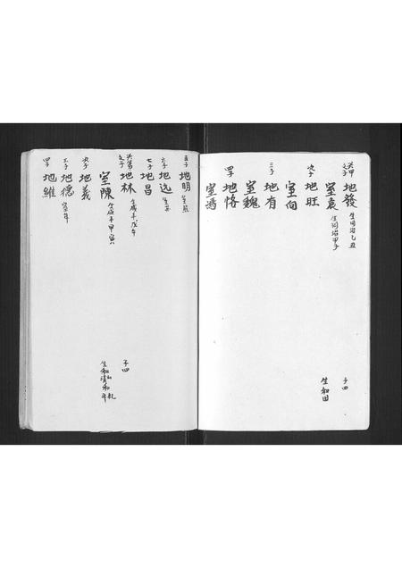 9523.杨氏家谱[不分卷](别名：Yang Shi Jia Pu、杨氏家谱).pdf电子版插图2